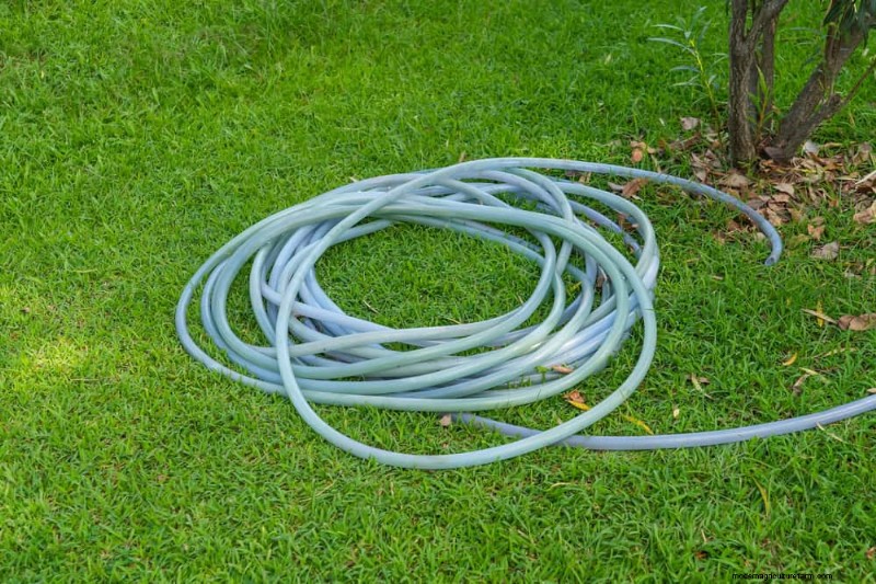 14 Front‑Yard Red Flags That Reveal a New Homeowner