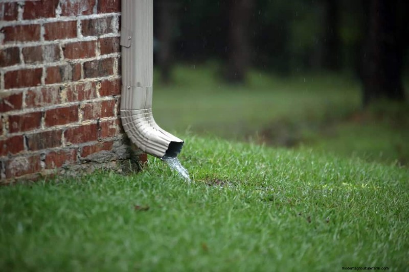 14 Front‑Yard Red Flags That Reveal a New Homeowner