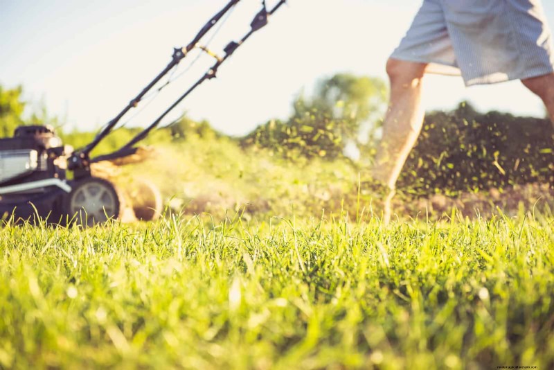 12 Red Flags That Can Trigger an HOA Letter About Your Yard