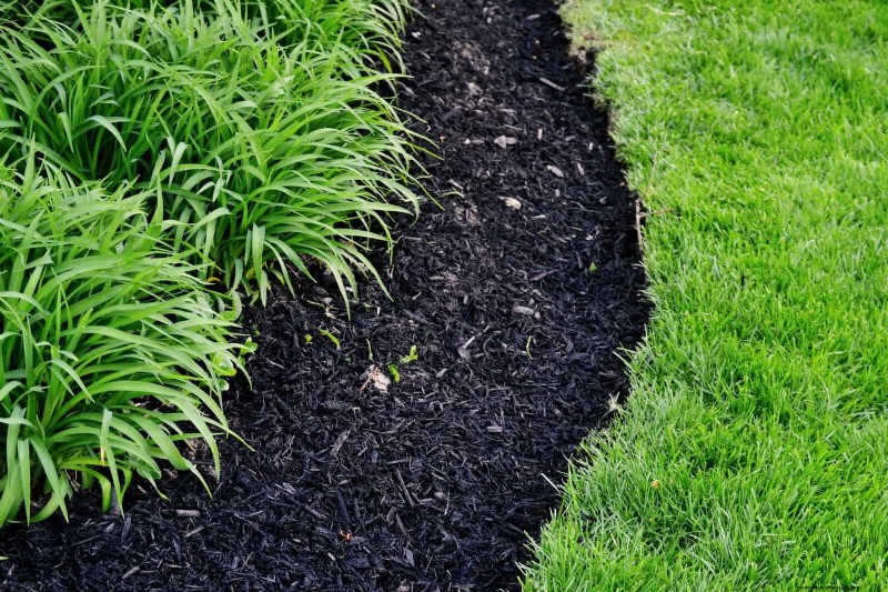 12 Red Flags That Can Trigger an HOA Letter About Your Yard