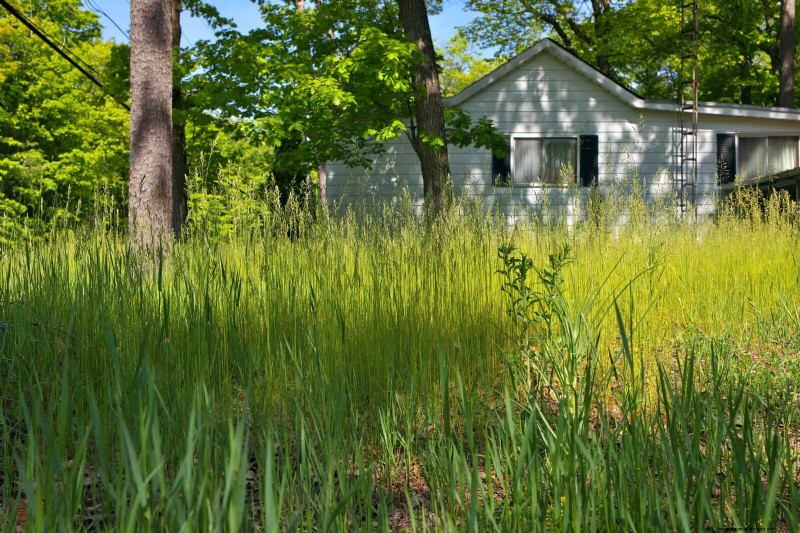 13 Subtle Yard Signals That Tell Neighbors You’ve Gone MIA – Must‑Know Fixes
