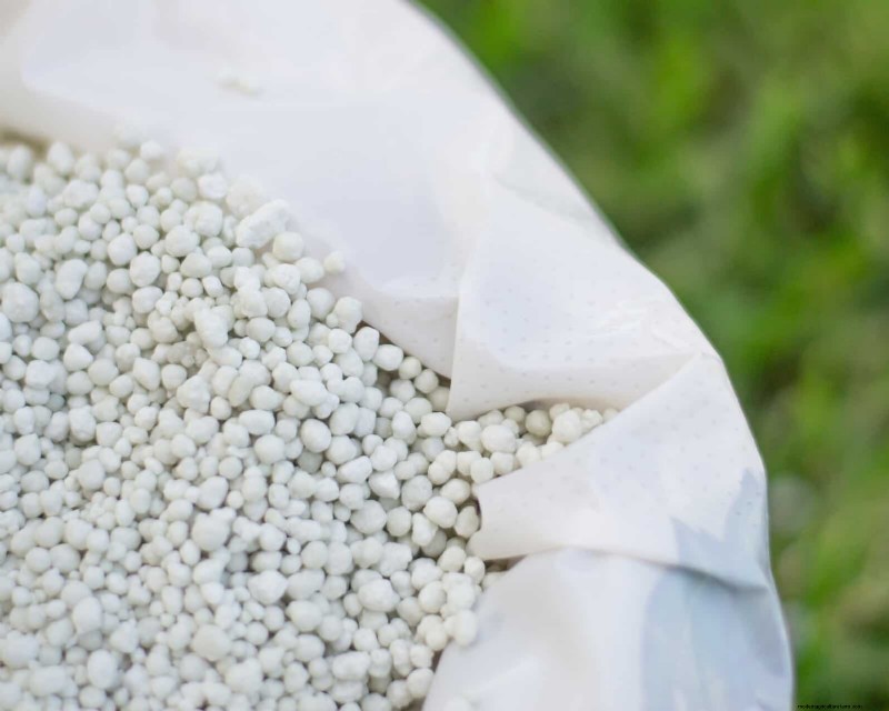 Common Fertilizer Habits That Undermine Soil Health