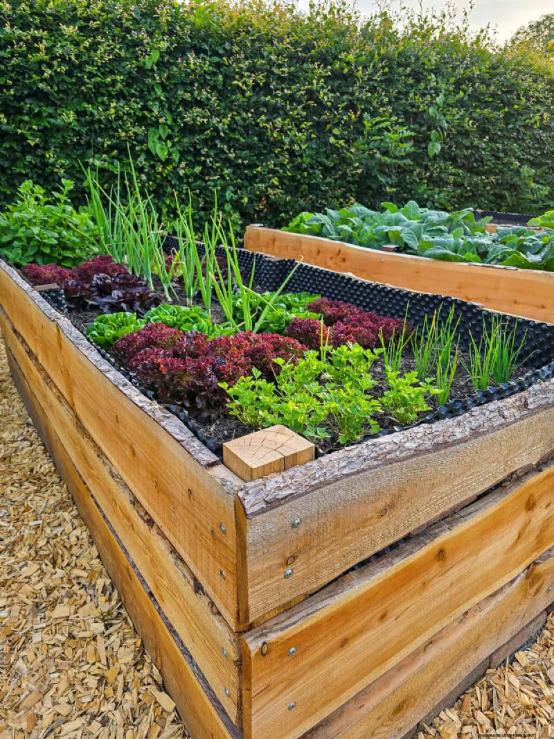 Common Fertilizer Habits That Undermine Soil Health