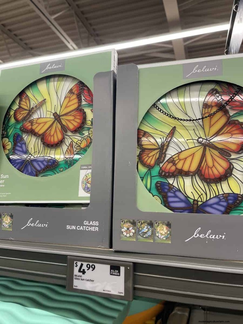 Top 21 Aldi Garden Finds: Affordable, Stylish, and Seasonal Must‑Haves