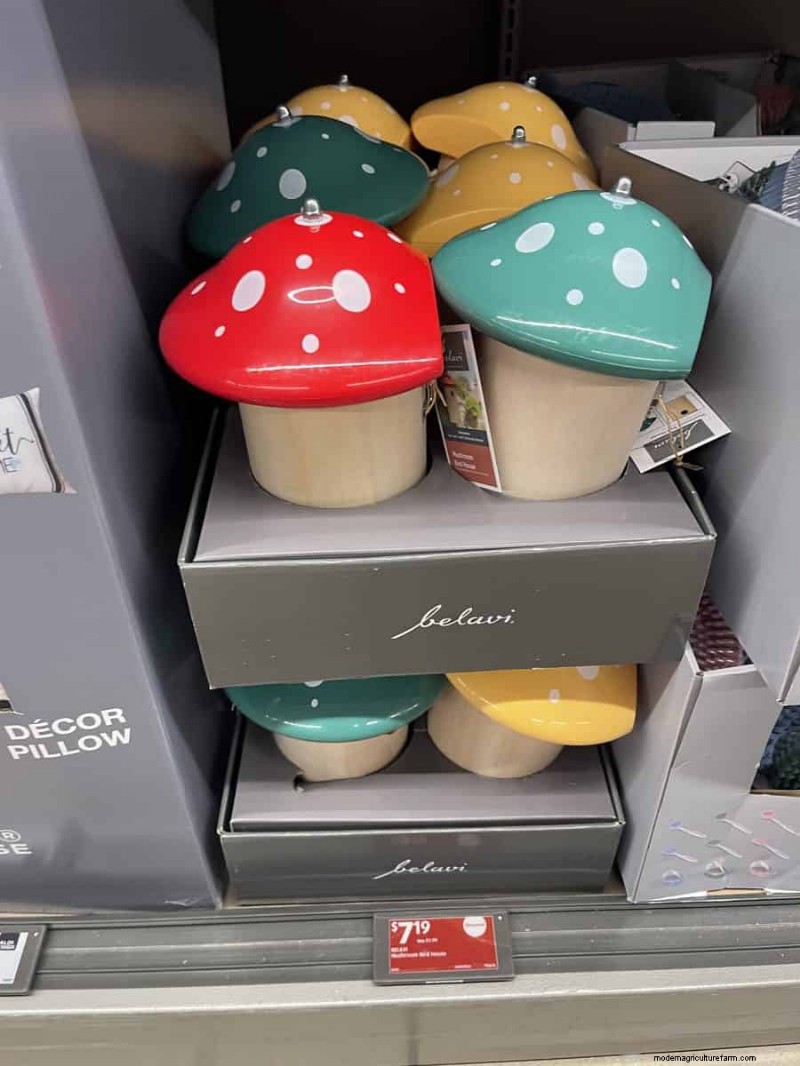 Top 21 Aldi Garden Finds: Affordable, Stylish, and Seasonal Must‑Haves