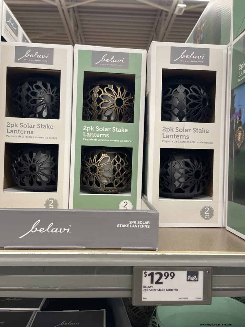 Top 21 Aldi Garden Finds: Affordable, Stylish, and Seasonal Must‑Haves