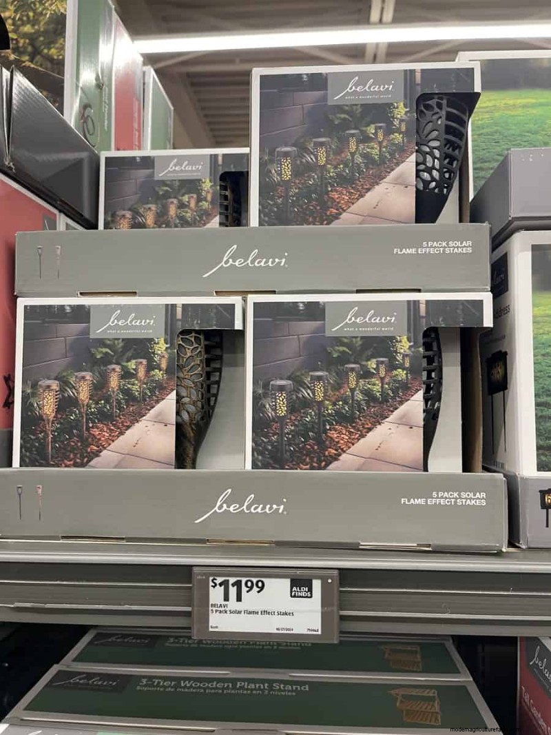 Top 21 Aldi Garden Finds: Affordable, Stylish, and Seasonal Must‑Haves