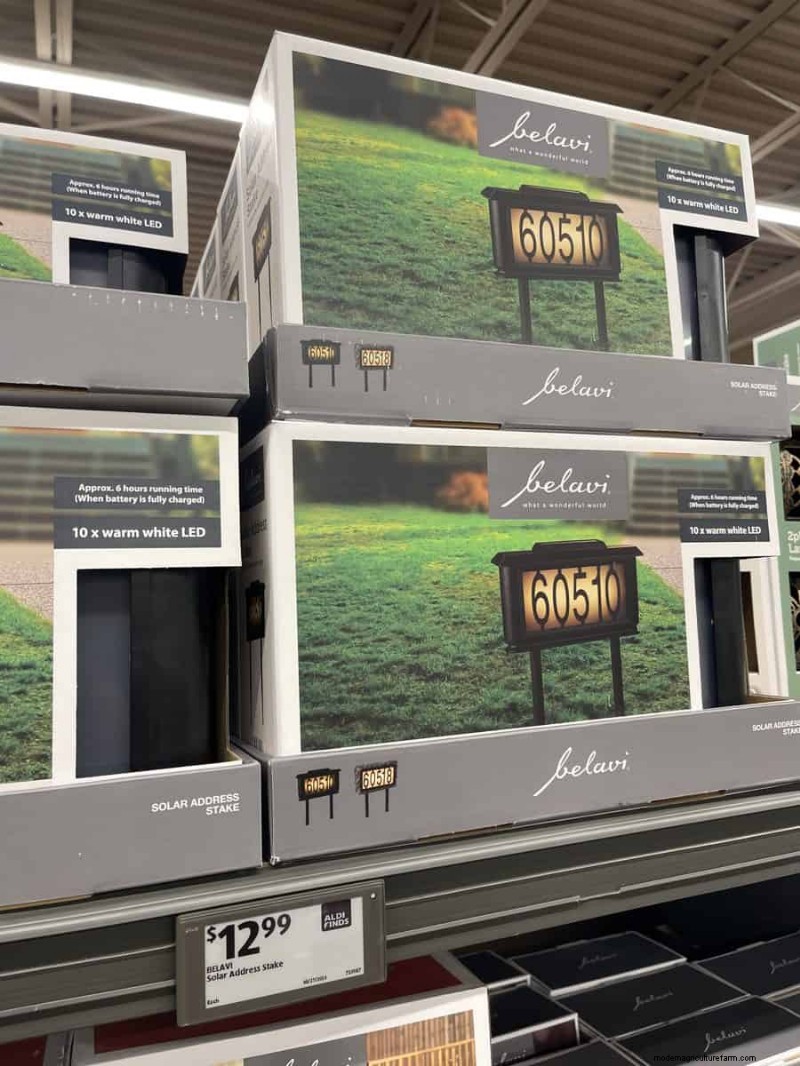 Top 21 Aldi Garden Finds: Affordable, Stylish, and Seasonal Must‑Haves