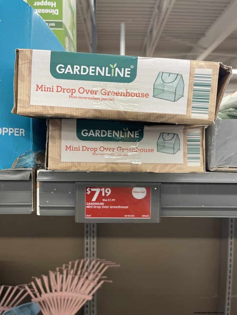 Top 21 Aldi Garden Finds: Affordable, Stylish, and Seasonal Must‑Haves