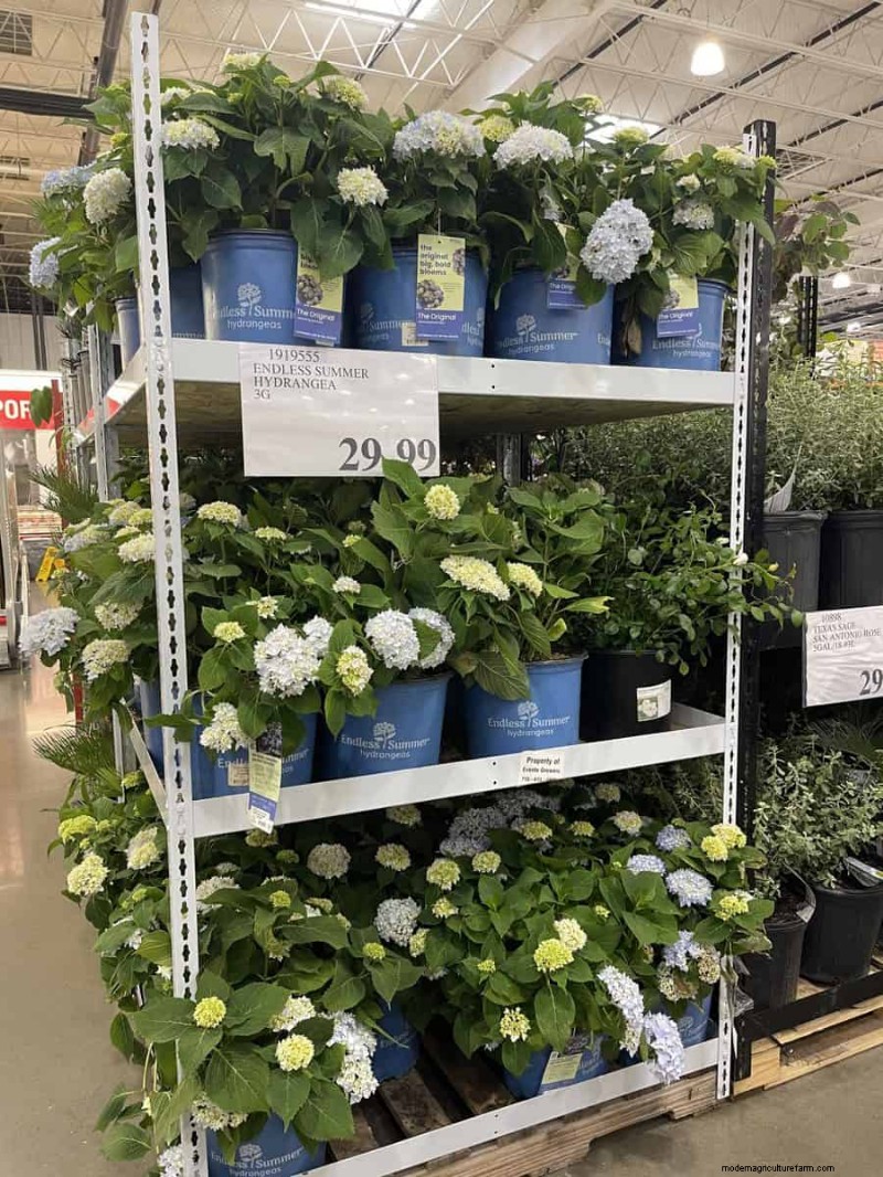 Costco 2026 Garden Finds: 18 Must‑See Items & Prices