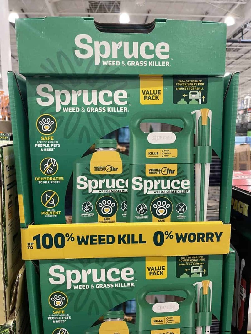 Costco 2026 Garden Finds: 18 Must‑See Items & Prices