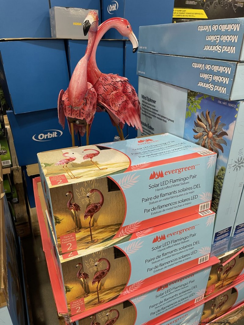 Costco 2026 Garden Finds: 18 Must‑See Items & Prices