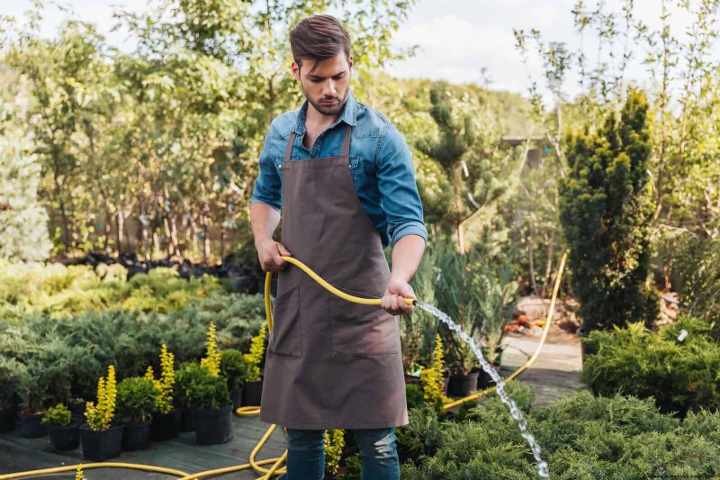 Why Gardens Falter by Mid‑July – 13 Proven Fixes