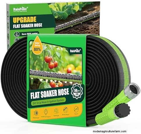 Why Gardens Falter by Mid‑July – 13 Proven Fixes