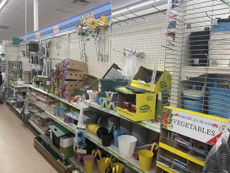 We Found 26 Garden Bargains at Dollar Tree, Some as Low as $1.50