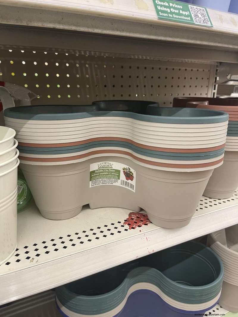 We Found 26 Garden Bargains at Dollar Tree, Some as Low as $1.50