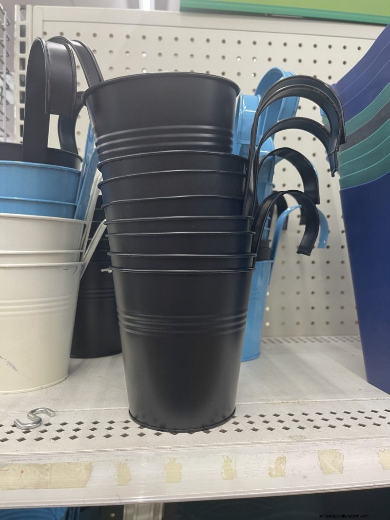 We Found 26 Garden Bargains at Dollar Tree, Some as Low as $1.50