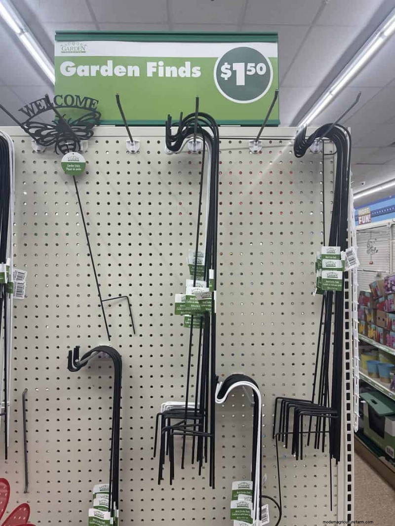 We Found 26 Garden Bargains at Dollar Tree, Some as Low as $1.50