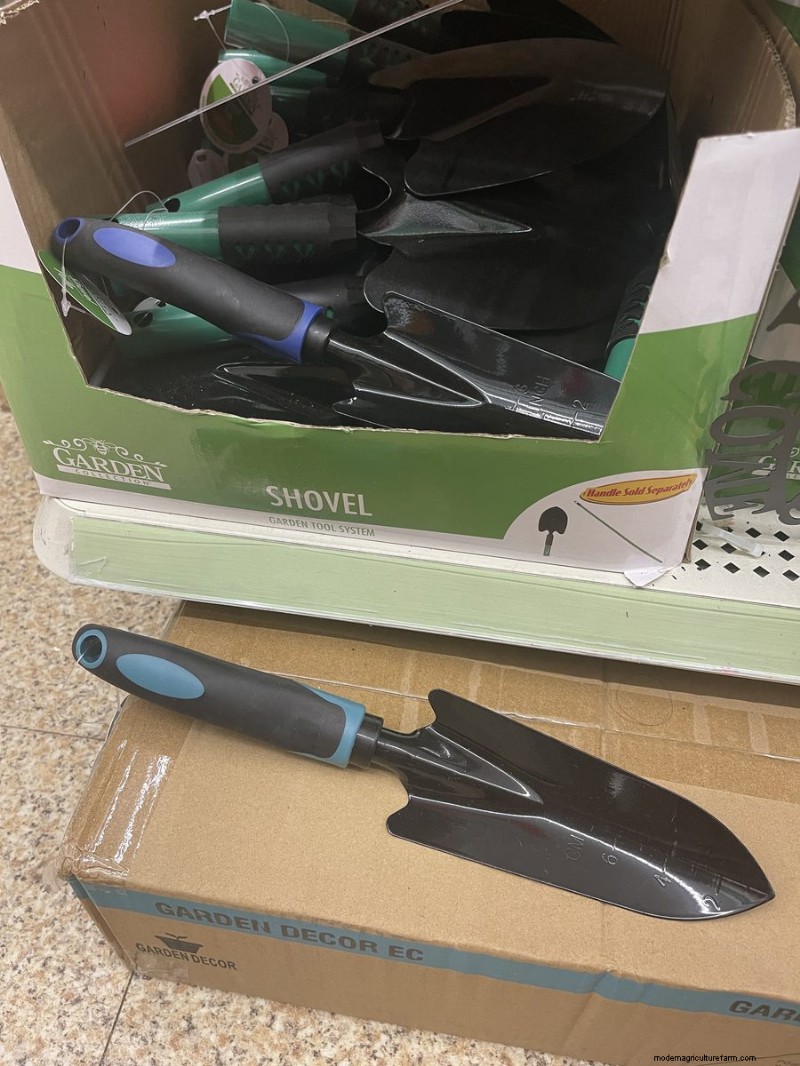 We Found 26 Garden Bargains at Dollar Tree, Some as Low as $1.50