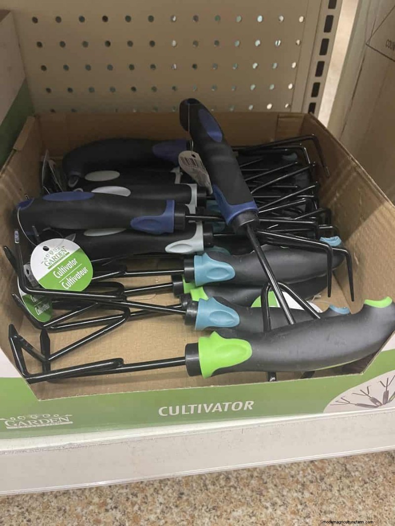 We Found 26 Garden Bargains at Dollar Tree, Some as Low as $1.50
