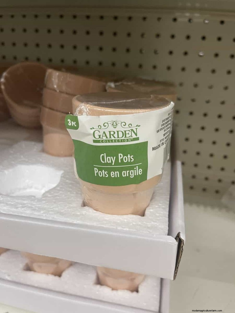 We Found 26 Garden Bargains at Dollar Tree, Some as Low as $1.50
