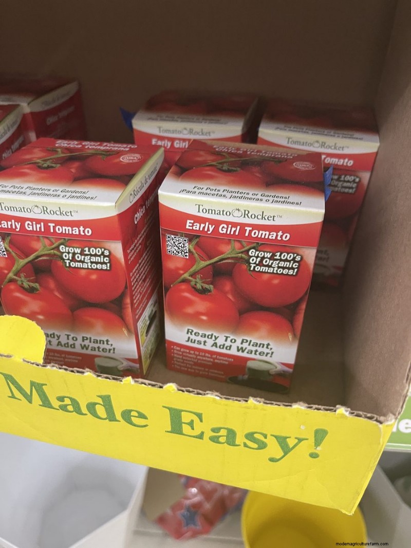 We Found 26 Garden Bargains at Dollar Tree, Some as Low as $1.50