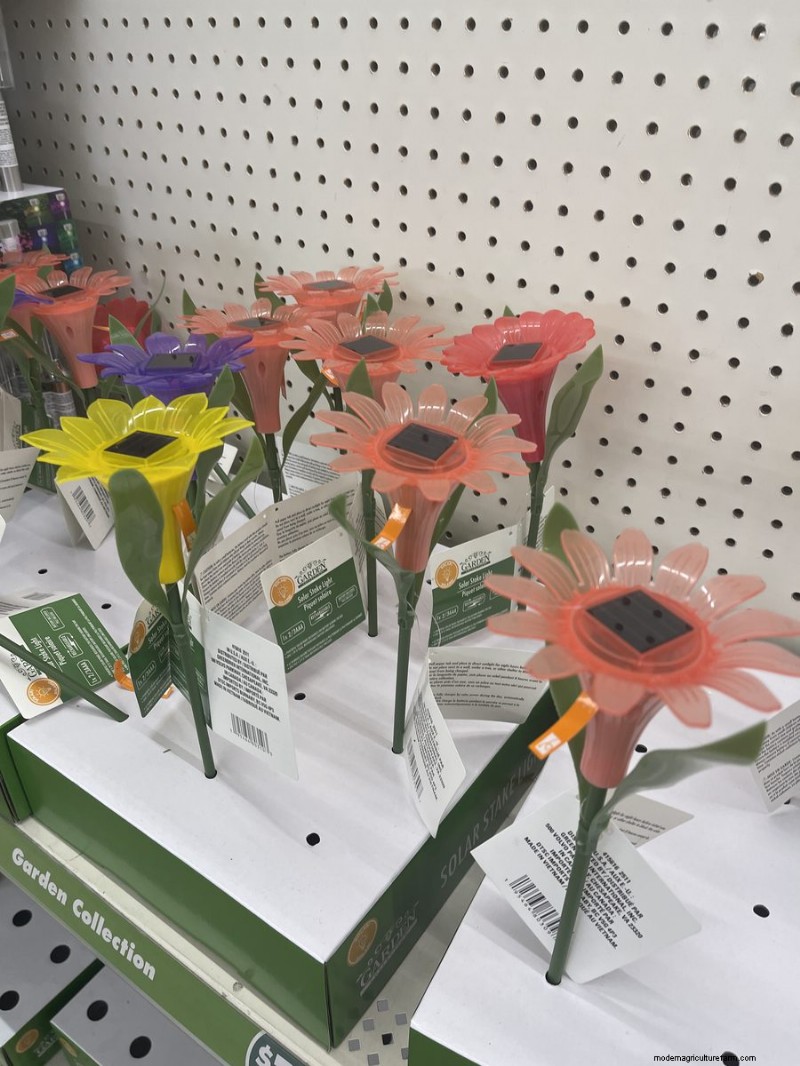 We Found 26 Garden Bargains at Dollar Tree, Some as Low as $1.50