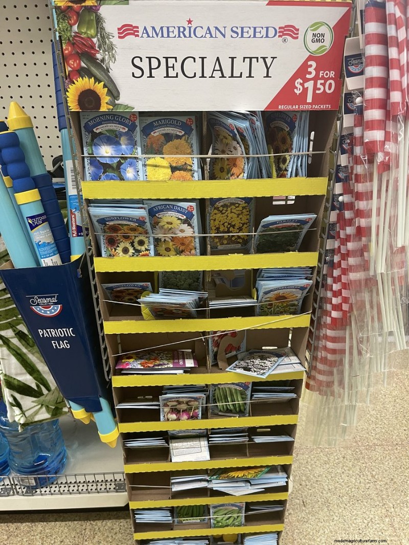 We Found 26 Garden Bargains at Dollar Tree, Some as Low as $1.50