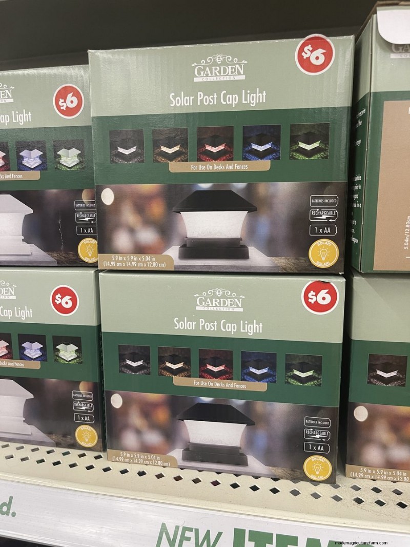 We Found 26 Garden Bargains at Dollar Tree, Some as Low as $1.50