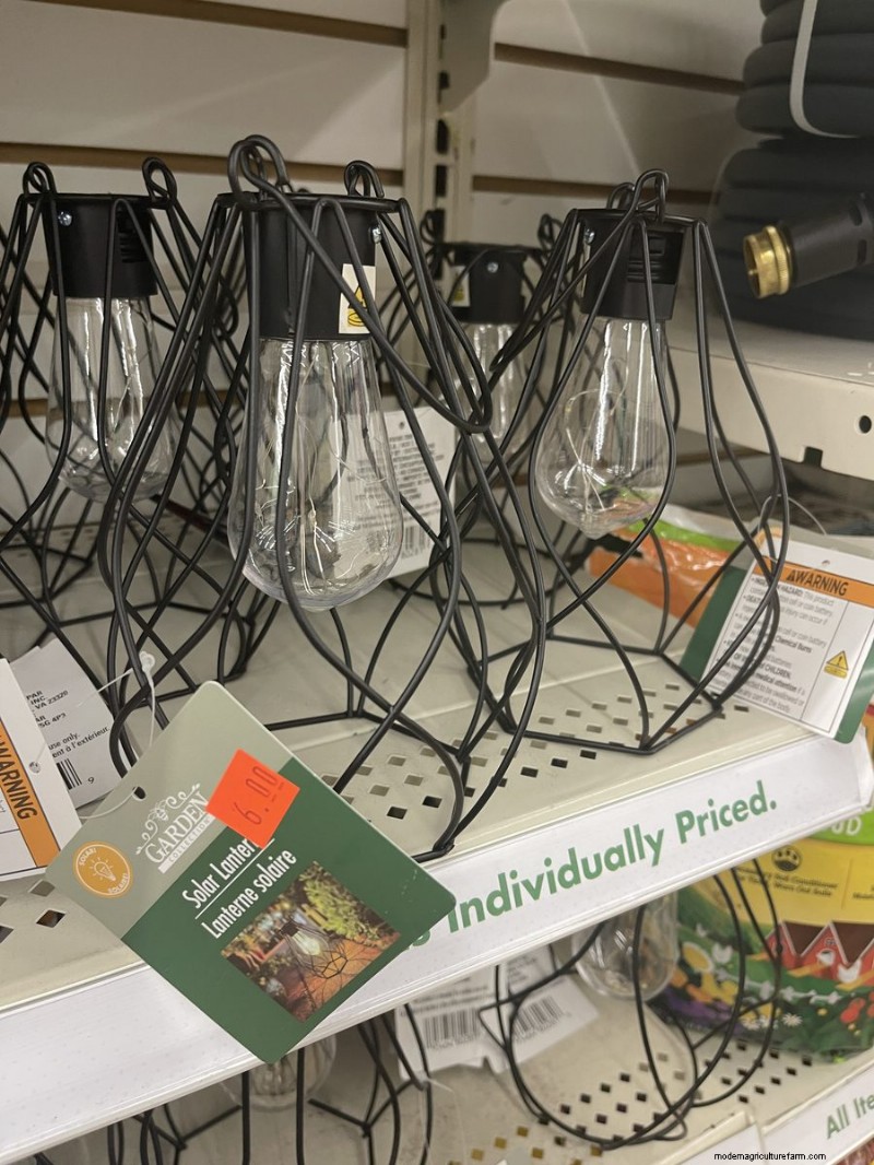 We Found 26 Garden Bargains at Dollar Tree, Some as Low as $1.50