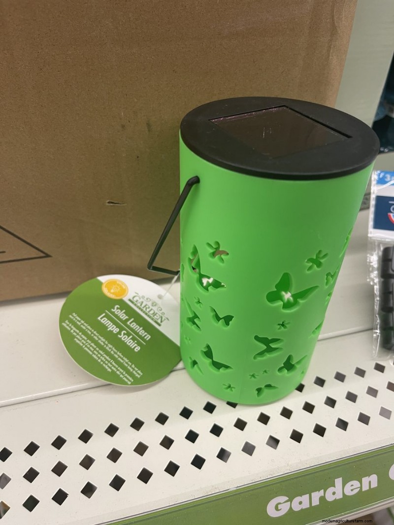We Found 26 Garden Bargains at Dollar Tree, Some as Low as $1.50