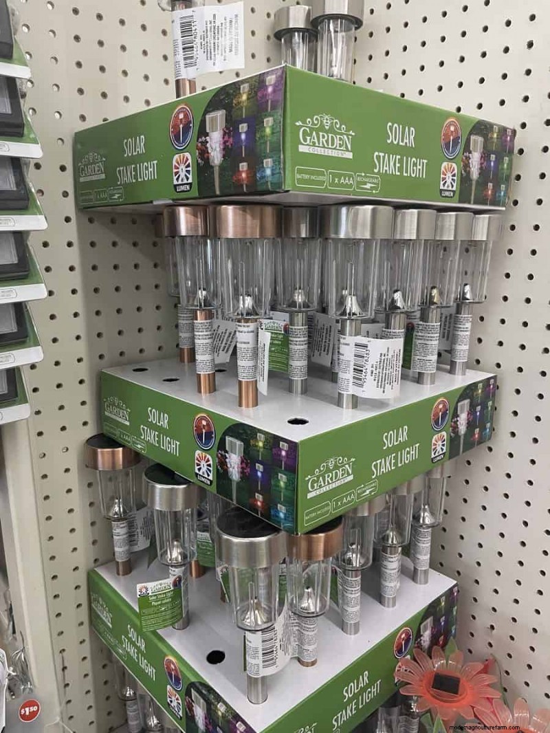 We Found 26 Garden Bargains at Dollar Tree, Some as Low as $1.50