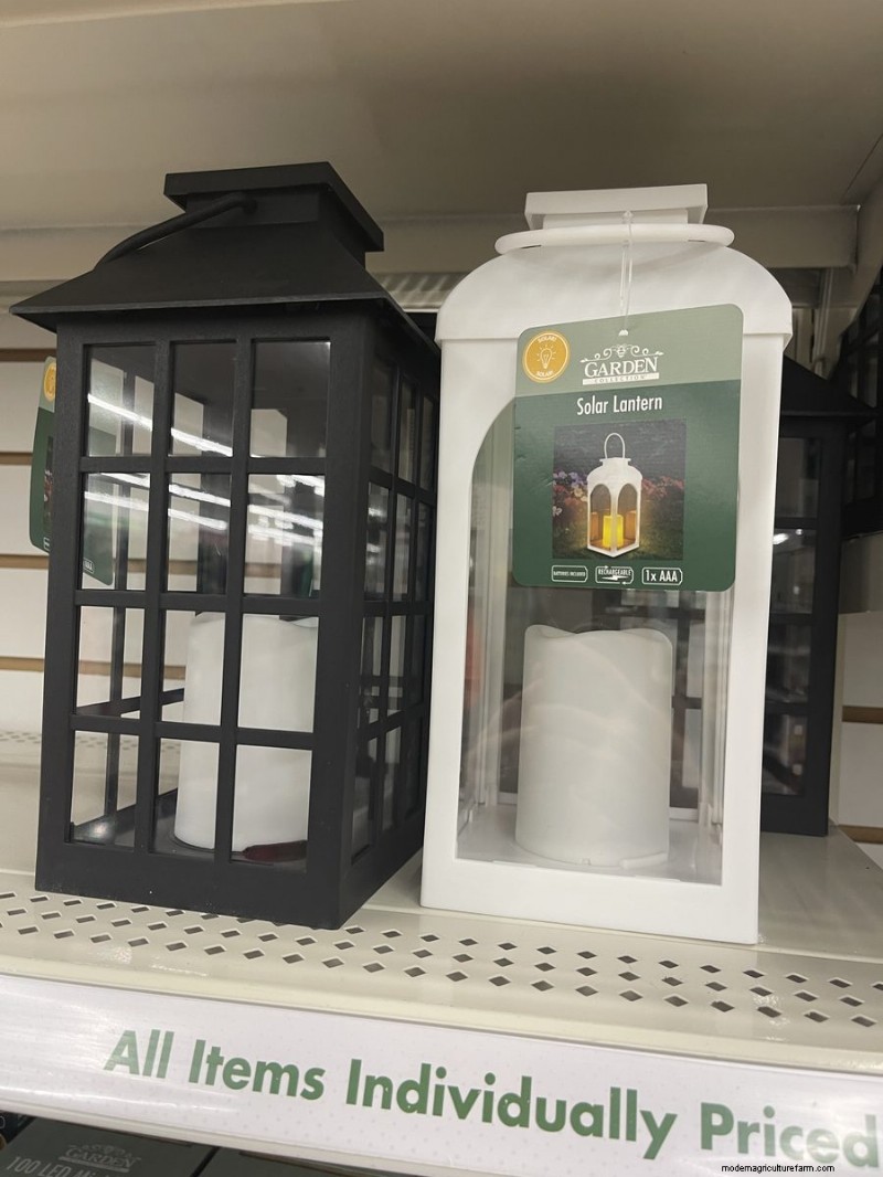 We Found 26 Garden Bargains at Dollar Tree, Some as Low as $1.50