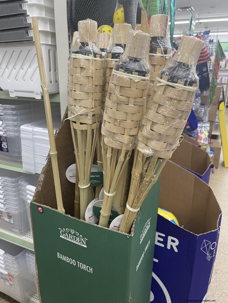 We Found 26 Garden Bargains at Dollar Tree, Some as Low as $1.50