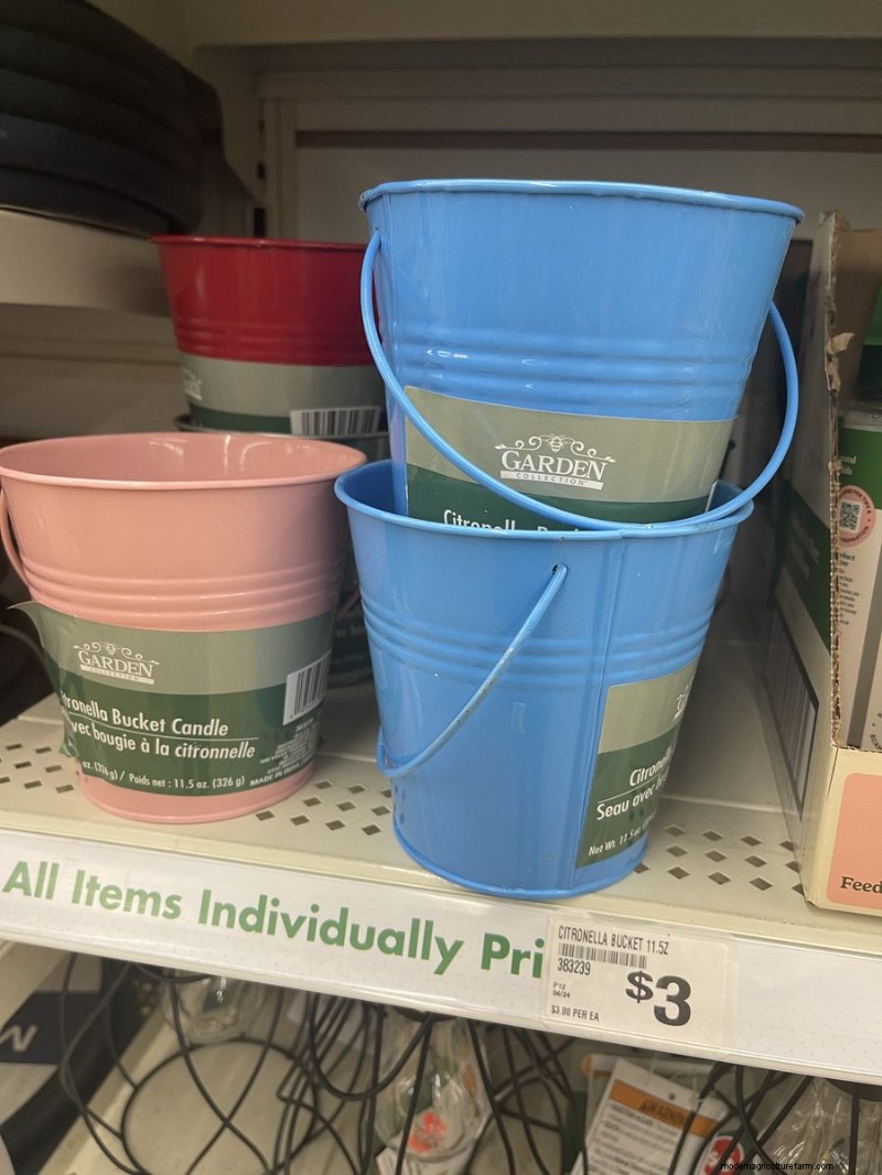 We Found 26 Garden Bargains at Dollar Tree, Some as Low as $1.50
