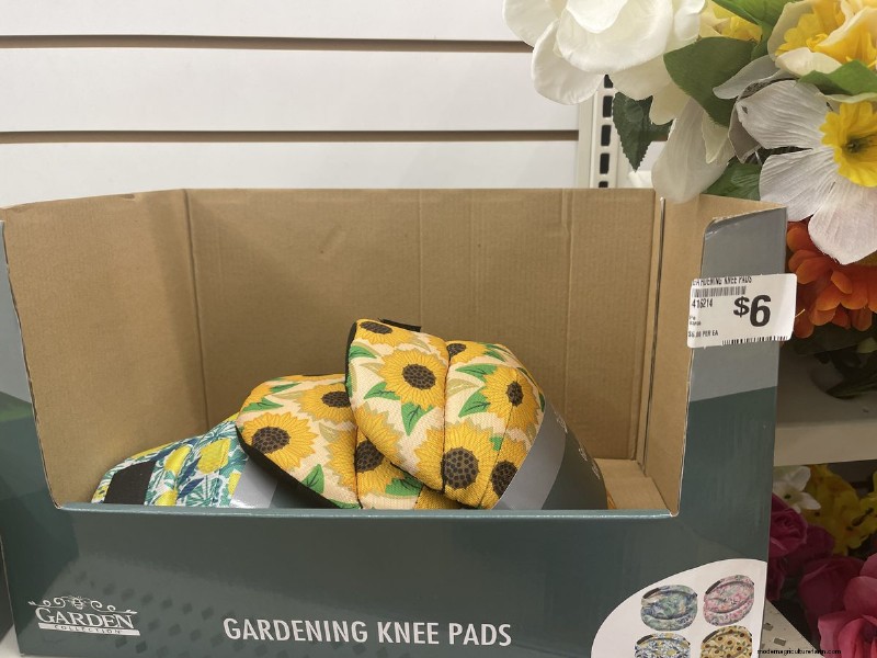 We Found 26 Garden Bargains at Dollar Tree, Some as Low as $1.50