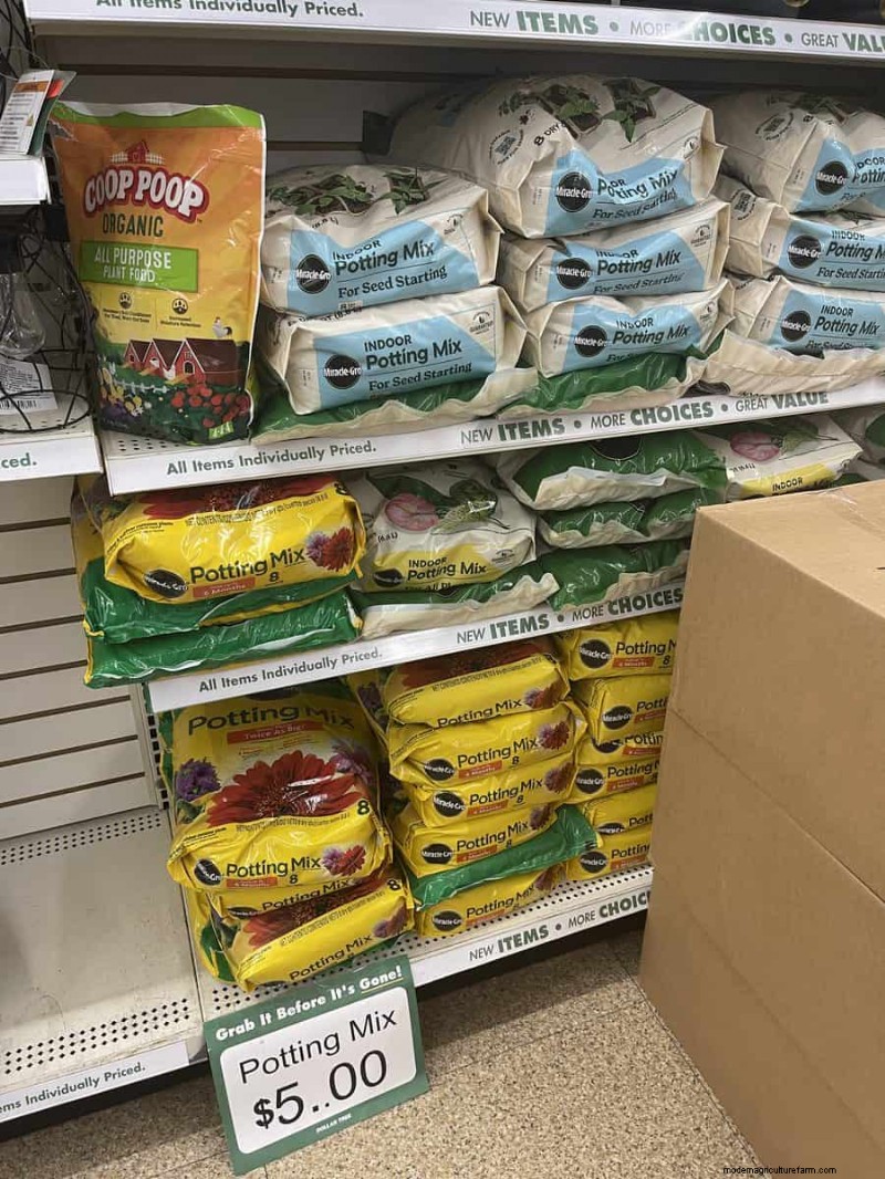 We Found 26 Garden Bargains at Dollar Tree, Some as Low as $1.50