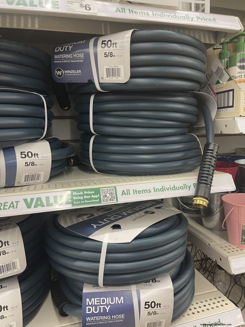 We Found 26 Garden Bargains at Dollar Tree, Some as Low as $1.50