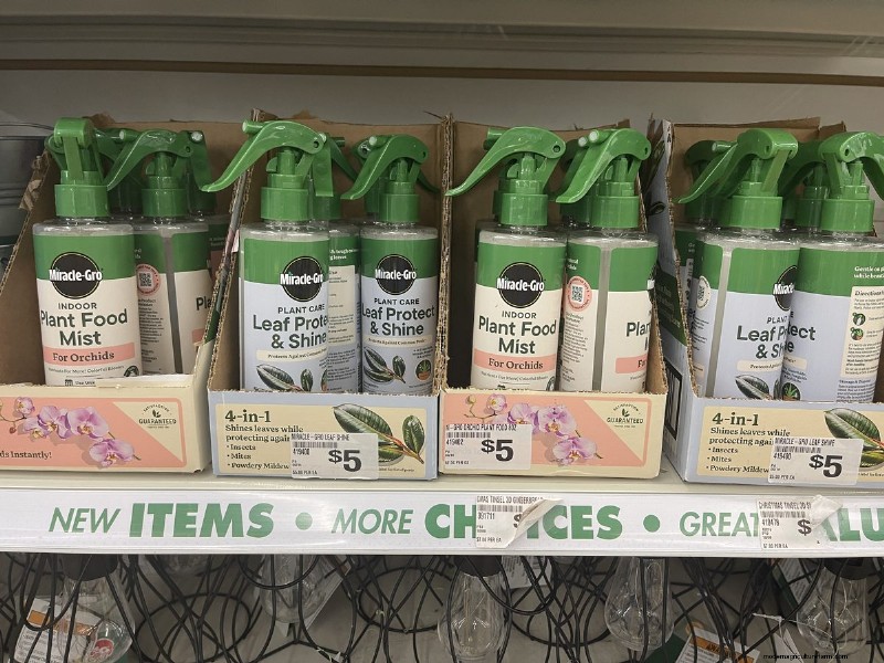 We Found 26 Garden Bargains at Dollar Tree, Some as Low as $1.50