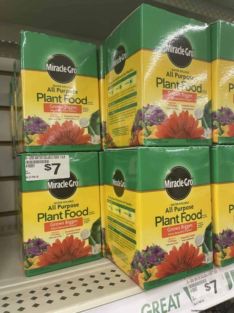 We Found 26 Garden Bargains at Dollar Tree, Some as Low as $1.50