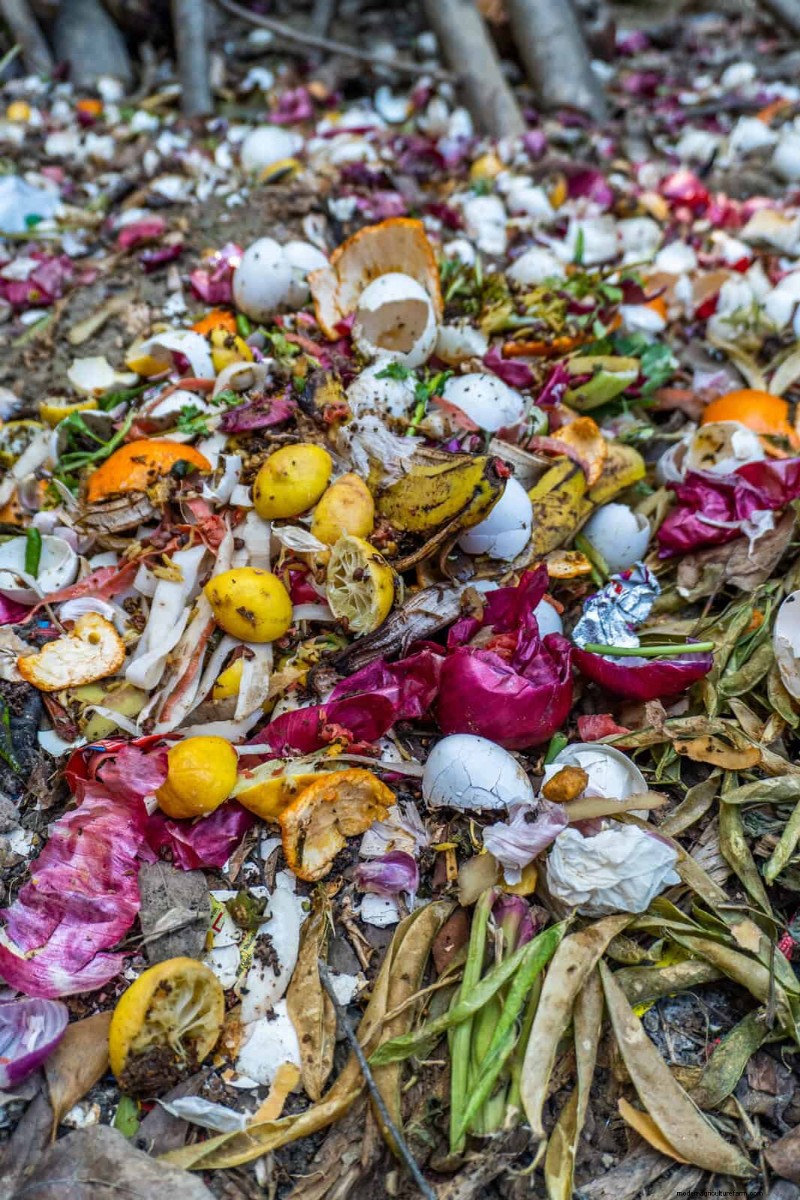 15 Kitchen Scraps That Double as Garden Fertilizer