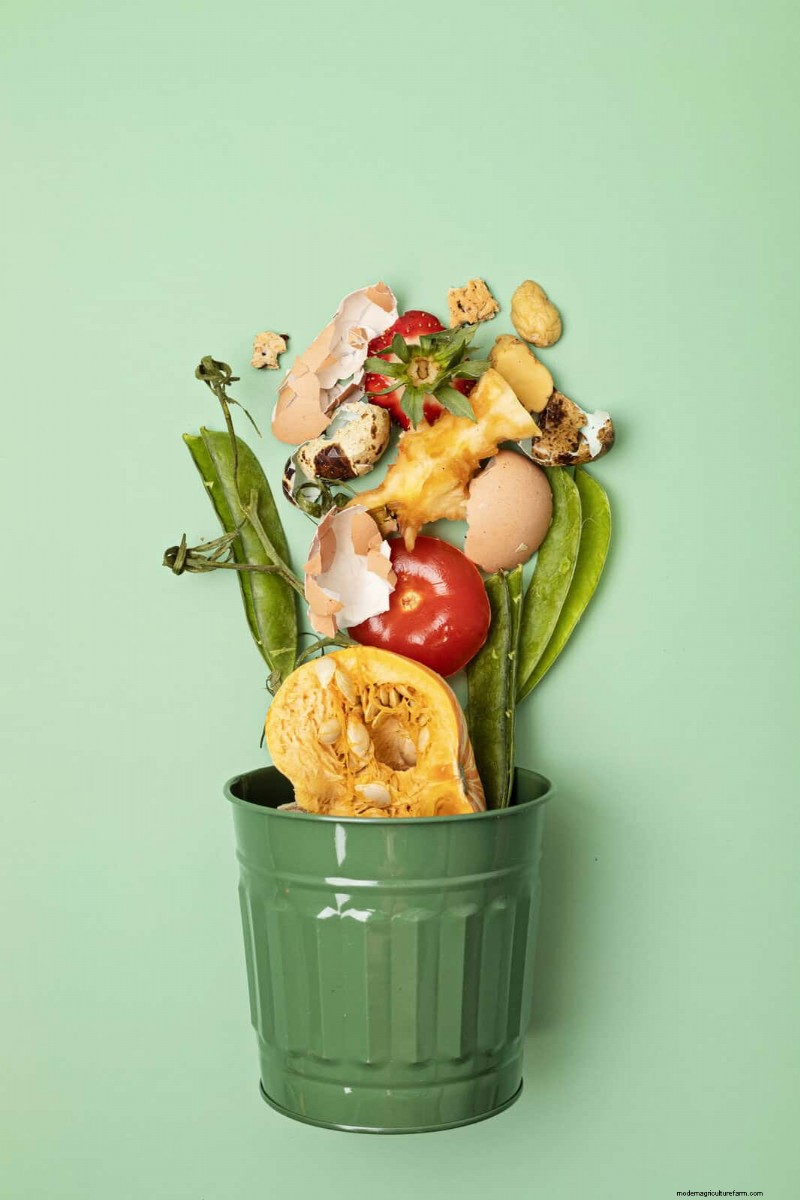 15 Zero‑Cost Household Fertilizer Alternatives That Nourish Your Garden