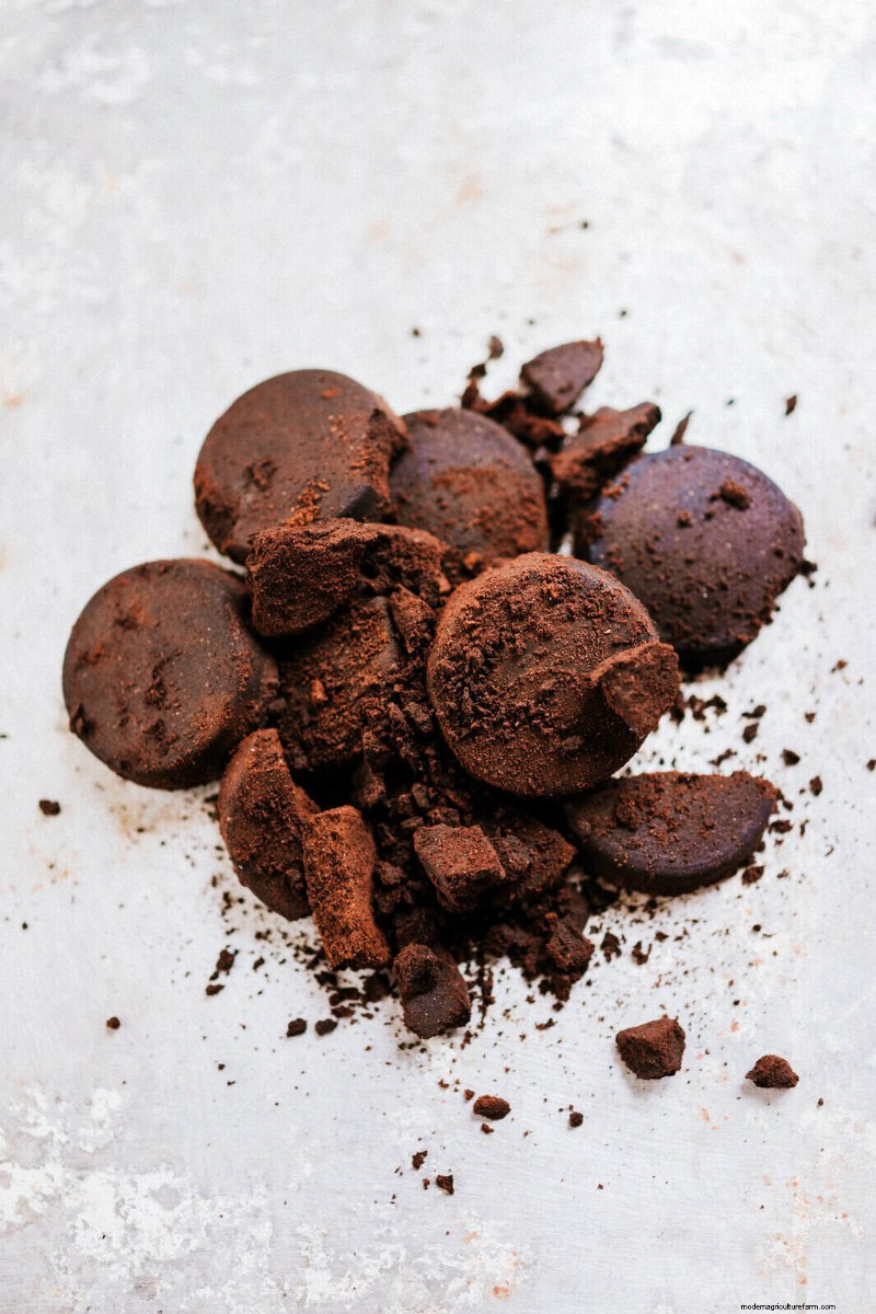 15 Zero‑Cost Household Fertilizer Alternatives That Nourish Your Garden