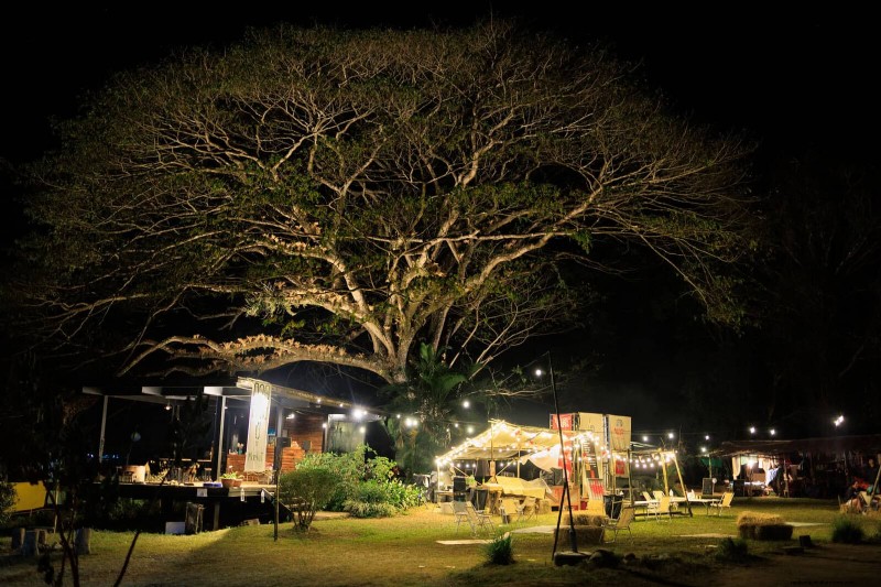Illuminate Your Backyard: Expert Tips to Eliminate Dark Zones at Night