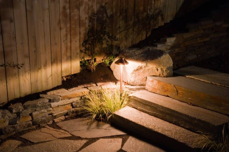 Illuminate Your Backyard: Expert Tips to Eliminate Dark Zones at Night