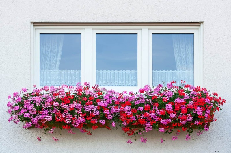 15 Stunning Window Box Designs to Boost Your Home’s Curb Appeal