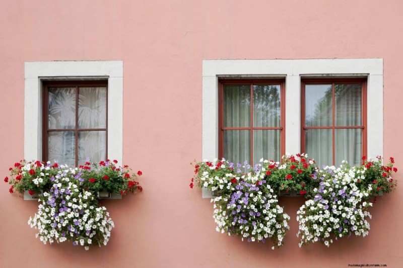 15 Stunning Window Box Designs to Boost Your Home’s Curb Appeal