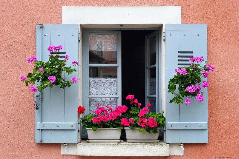 15 Stunning Window Box Designs to Boost Your Home’s Curb Appeal