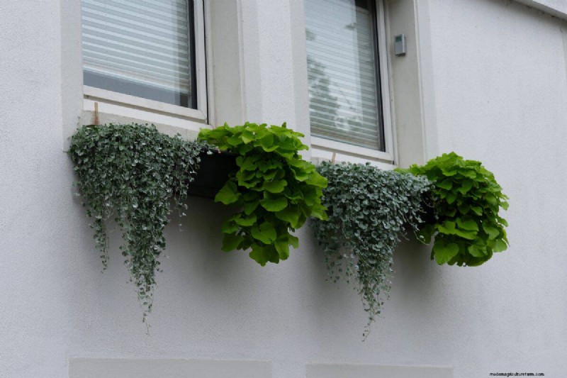 15 Stunning Window Box Designs to Boost Your Home’s Curb Appeal