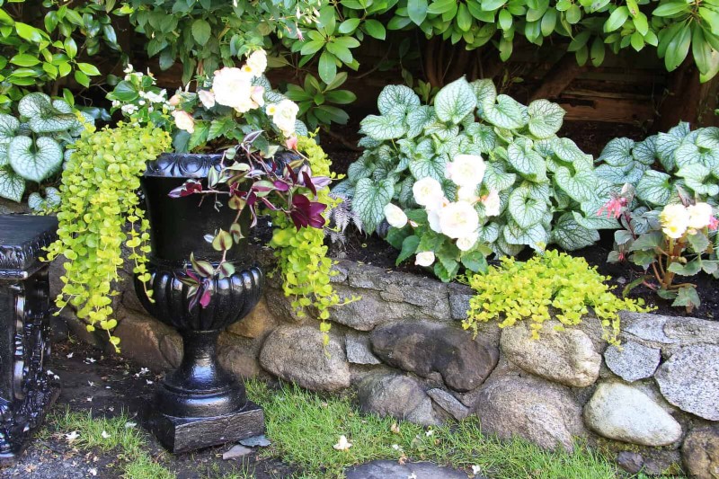 15 Stunning Window Box Designs to Boost Your Home’s Curb Appeal